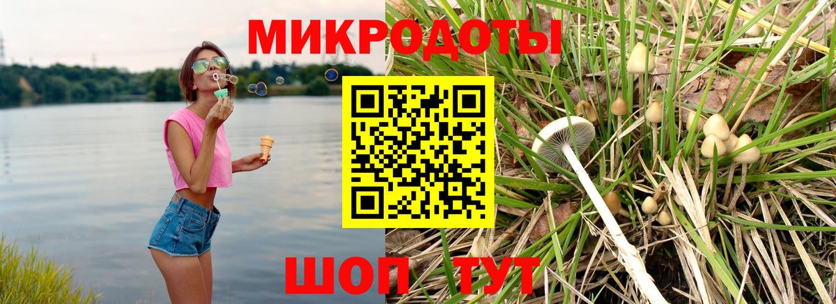 Краснодар  Галлюциногенные грибы GOLDEN TEACHER  Галлюциногенные грибы Psilocybe  Вход с VPN 